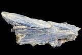 Vibrant Blue Kyanite Crystal - Brazil #80392-1